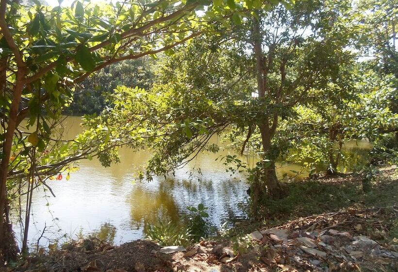 Pensió Amada Lake View Homestay