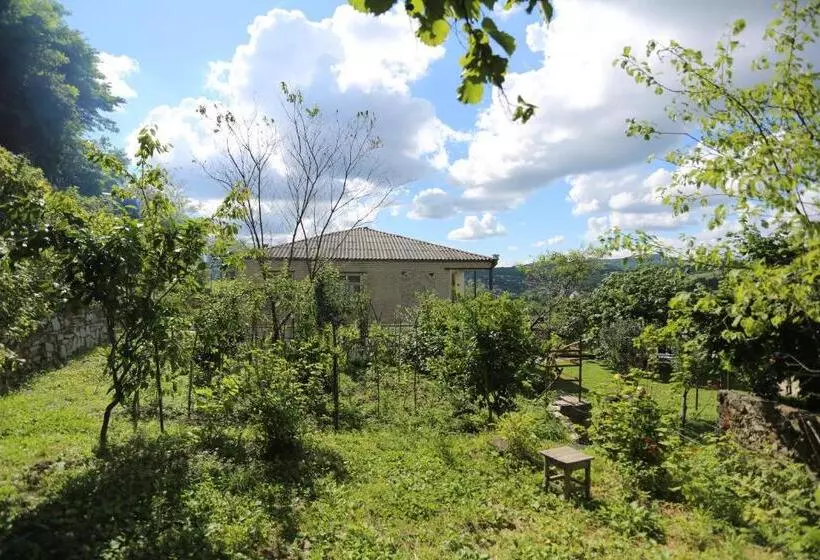 پانسیون Green House
