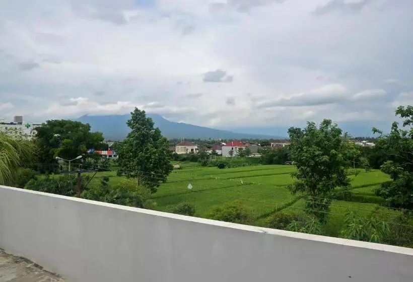 ユースホステル Footprints Xperience