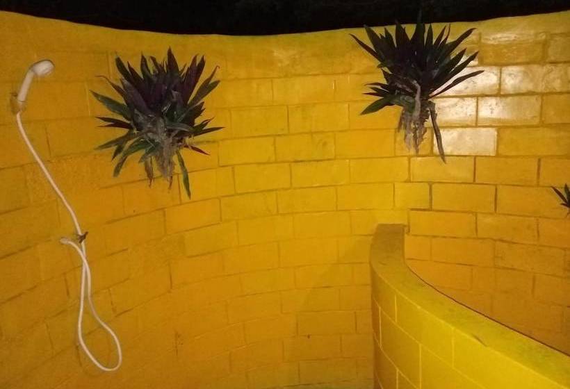 호텔 Stumble Inn Eco Lodge