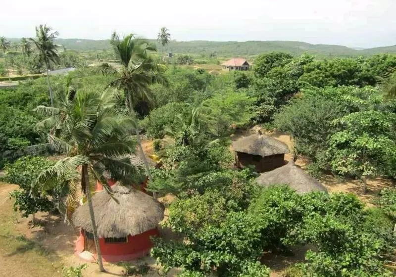 ホテル Stumble Inn Eco Lodge