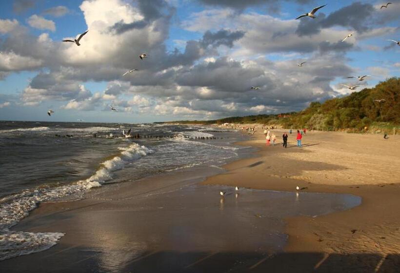 אתר נופש Dom Gościnny Albatros I