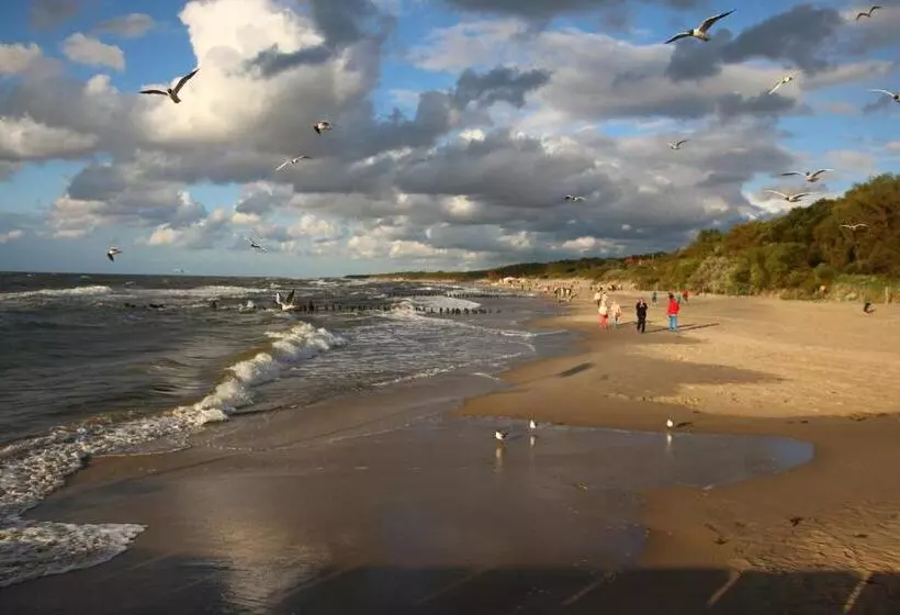 Lomakeskus Dom Gościnny Albatros I