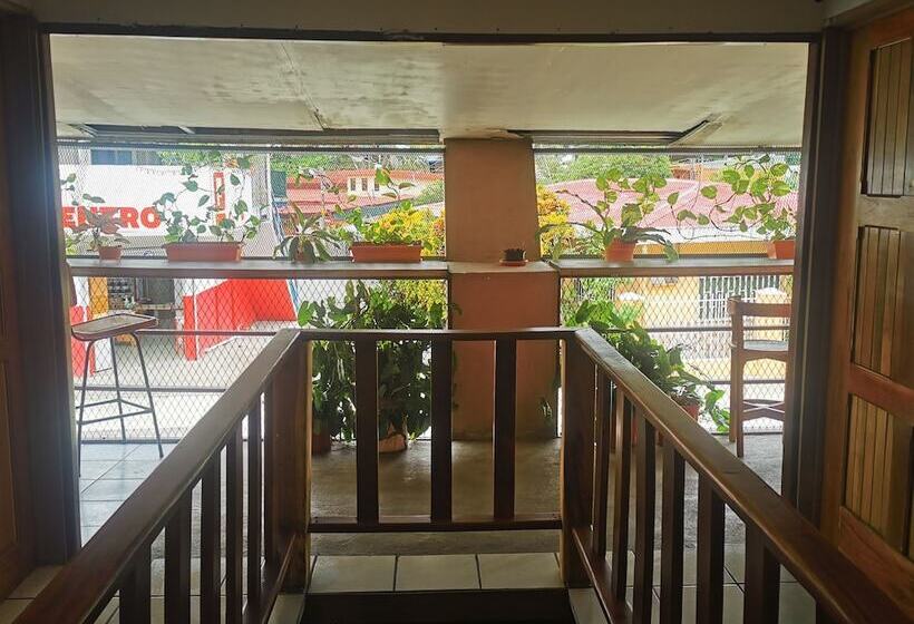 فندق صغير Hospedaje Doña Ana