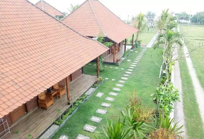 Aamiaismajoitus (B&B) Emir Surfcamp