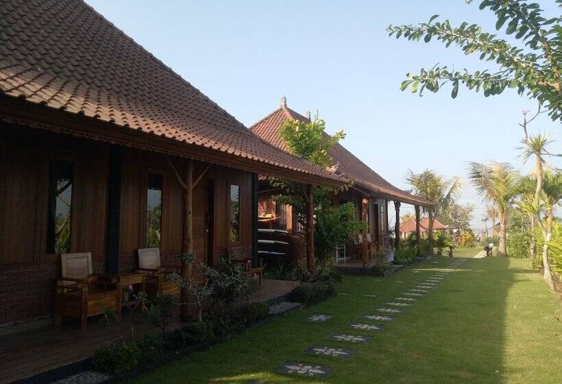 住宿加早餐  Emir Surfcamp