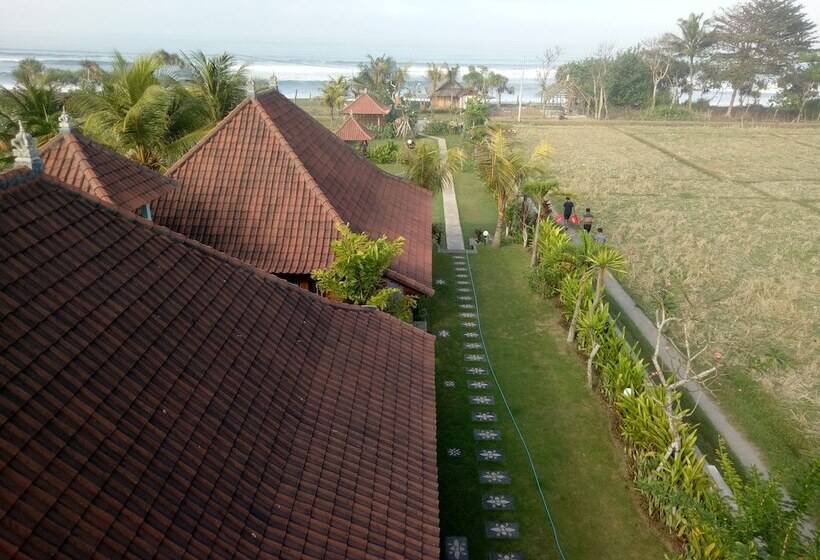 住宿加早餐  Emir Surfcamp