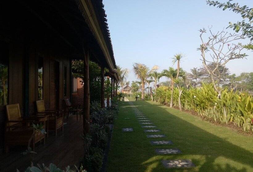 住宿加早餐  Emir Surfcamp