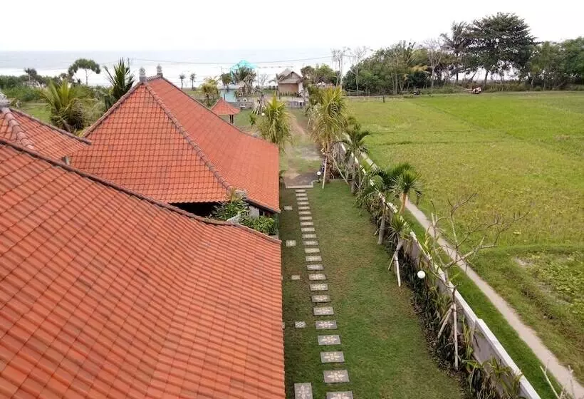 Aamiaismajoitus (B&B) Emir Surfcamp