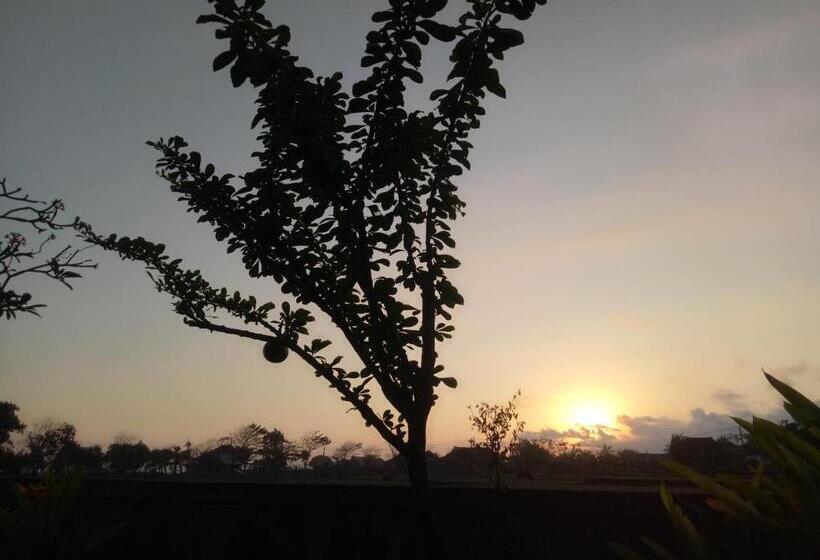 住宿加早餐  Emir Surfcamp