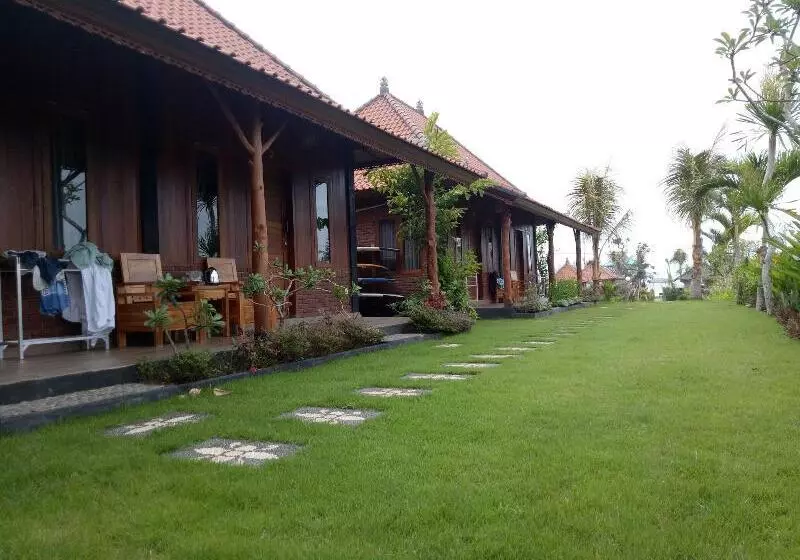 Aamiaismajoitus (B&B) Emir Surfcamp