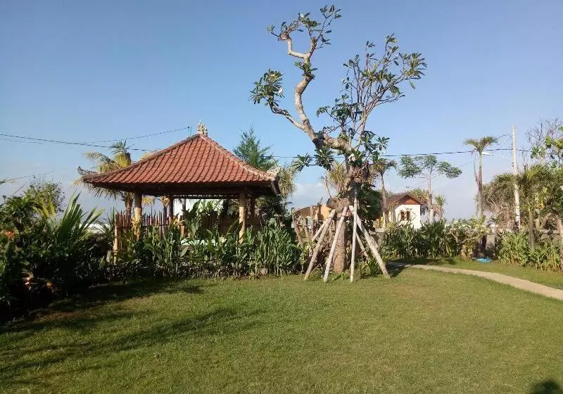 Aamiaismajoitus (B&B) Emir Surfcamp