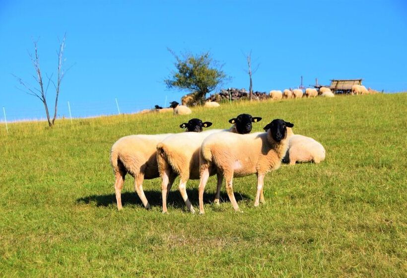 Пансион Gästehaus Jäger
