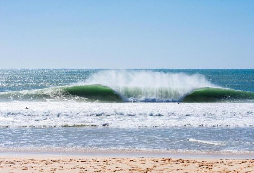 پانسیون Rimavier Residence