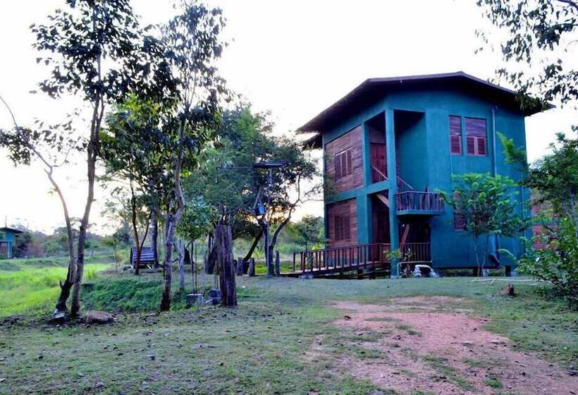 Resort Elephant Hide By Cacao