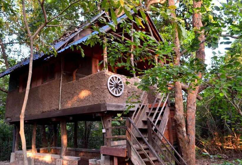 Resort Elephant Hide By Cacao