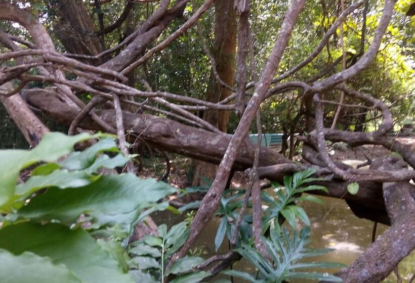 Resort Elephant Hide By Cacao