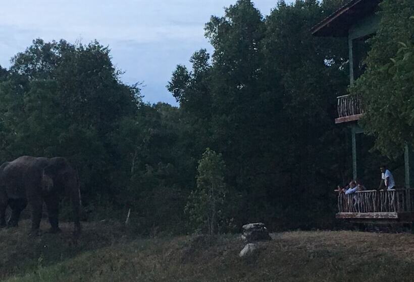 Resort Elephant Hide By Cacao