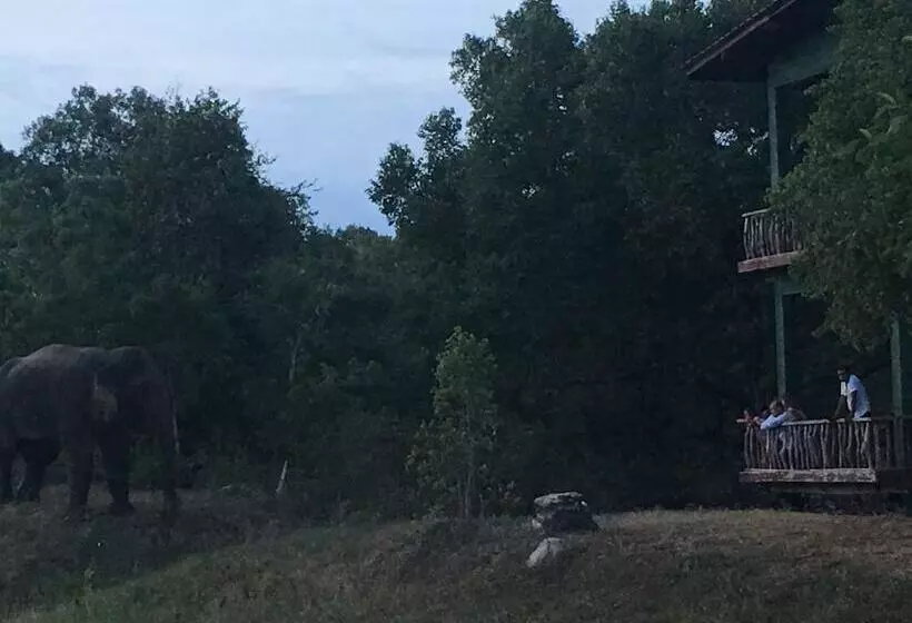 استراحتگاه Elephant Hide By Cacao