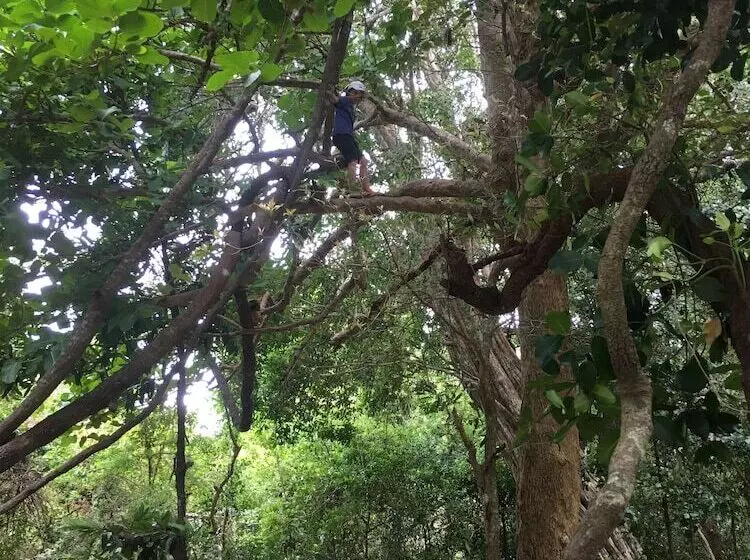 استراحتگاه Elephant Hide By Cacao