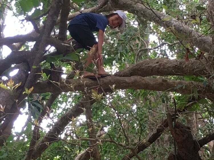 Resort Elephant Hide By Cacao