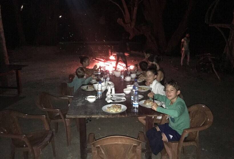 Resort Elephant Hide By Cacao