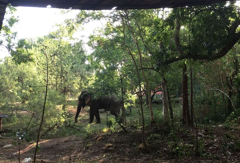 Resort Elephant Hide By Cacao