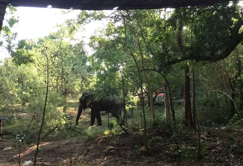 استراحتگاه Elephant Hide By Cacao