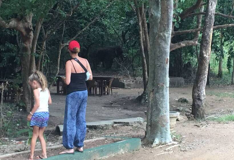 Resort Elephant Hide By Cacao