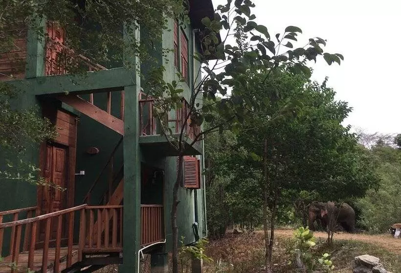 استراحتگاه Elephant Hide By Cacao