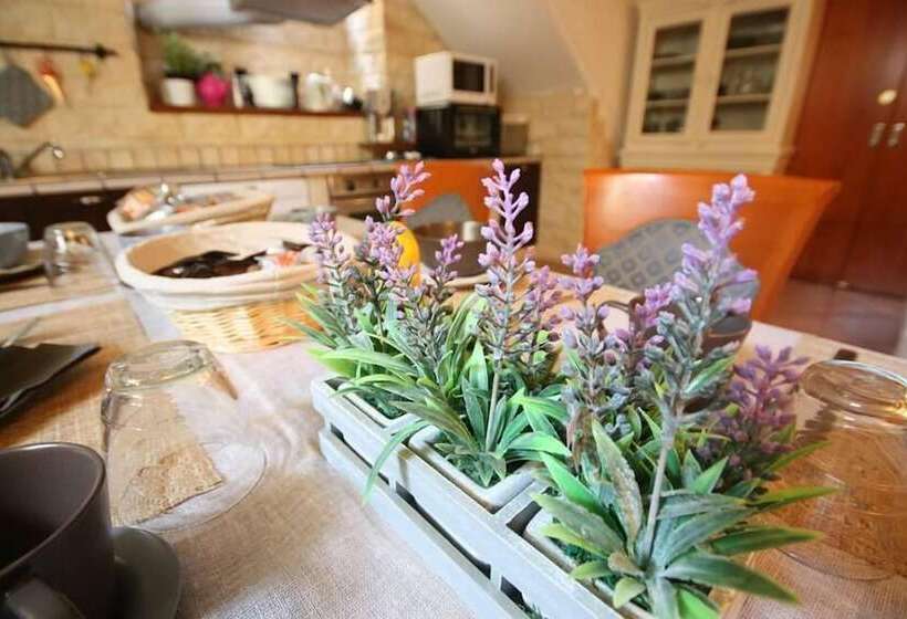 7 Archi Bed & Breakfast