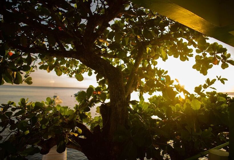 هتل Ocean S Edge Lodge Restaurant & Bar