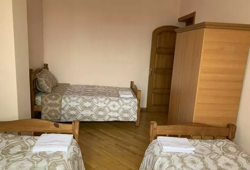 Lotus Hostel