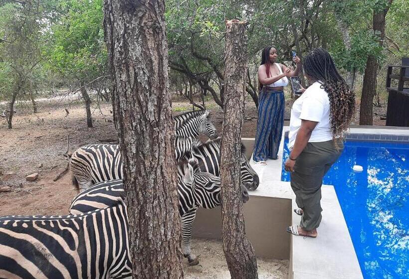 هاستل African Sky Villas