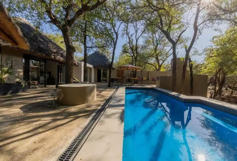 ユースホステル African Sky Villas