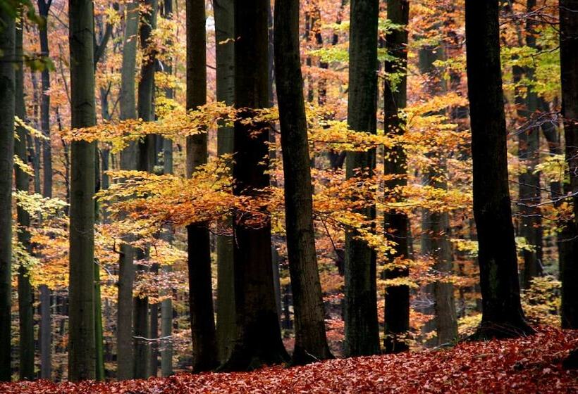 膳宿费 Gästehaus Laßbruch