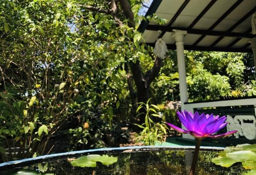 住宿加早餐  Kalana Homestay