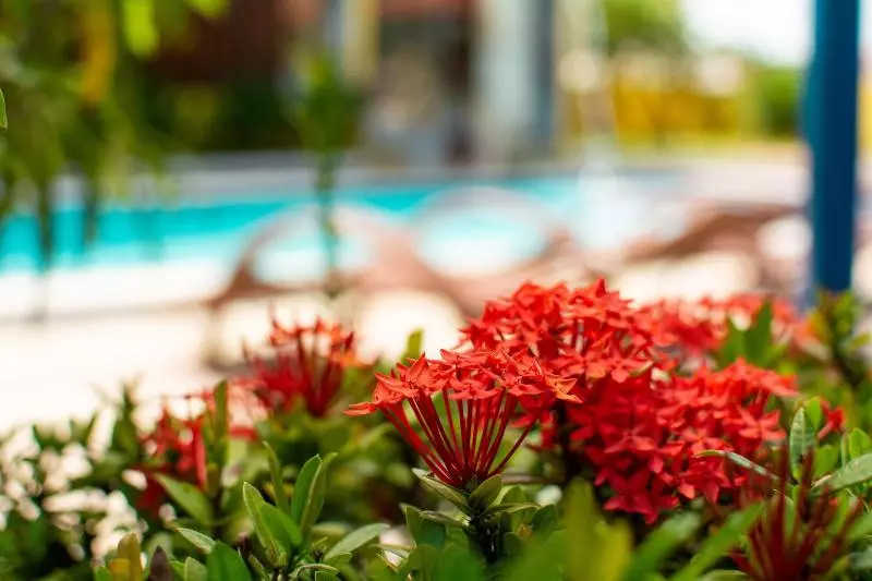 ホテル Thayan's Boutique Villa & Spa