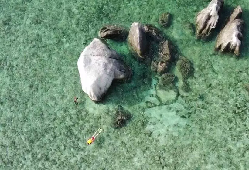 Aamiaismajoitus (B&B) Madu Tiga Beach & Resort