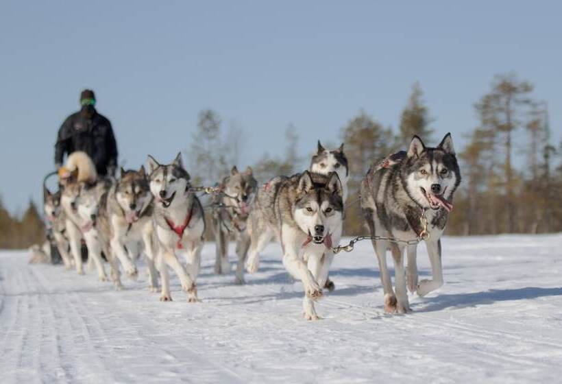 Отель Metsahirvas