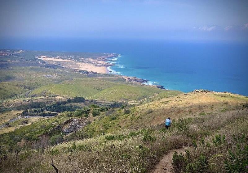 Quinta Do Pé Descalço Guesthouse Sintra