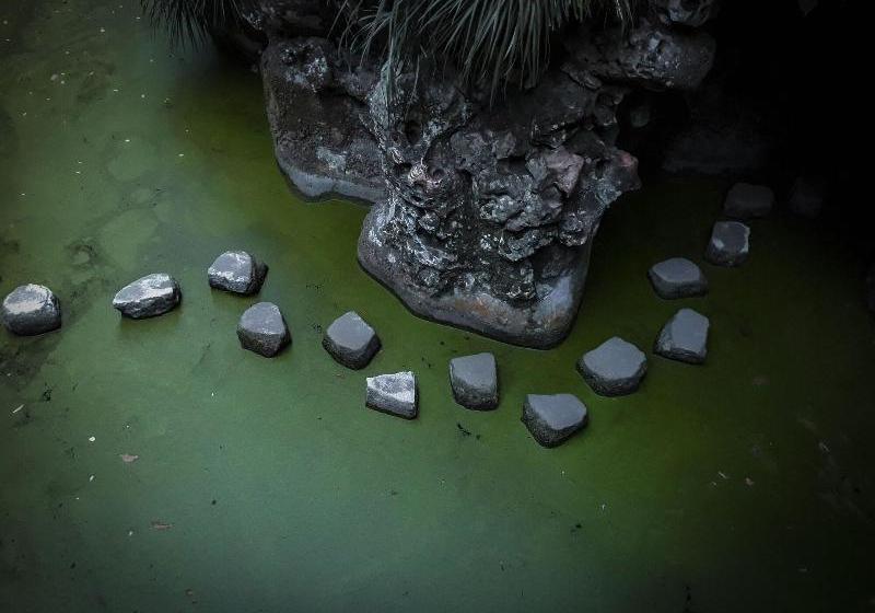 Quinta Do Pé Descalço Guesthouse Sintra