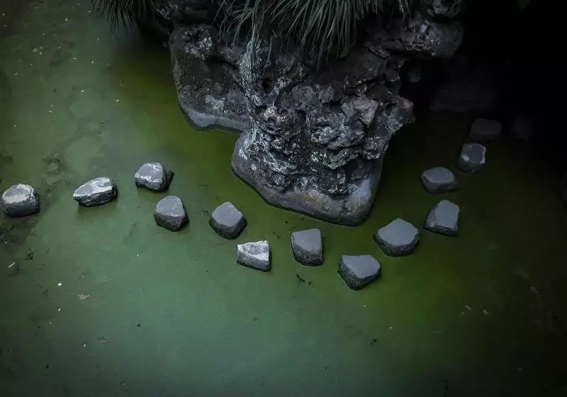 Quinta Do Pé Descalço Guesthouse Sintra