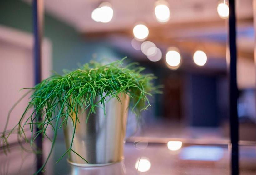 Togoto Hostel Wroclaw