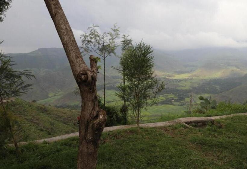 هتل Fikirandray Lodge