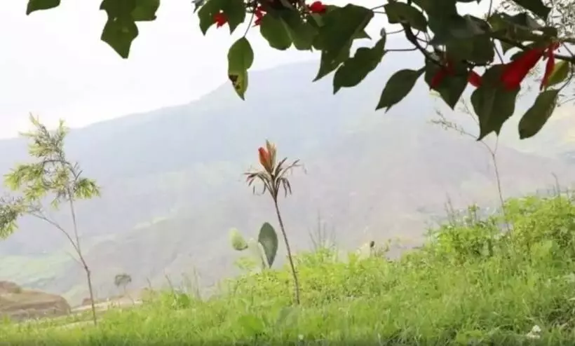 هتل Fikirandray Lodge