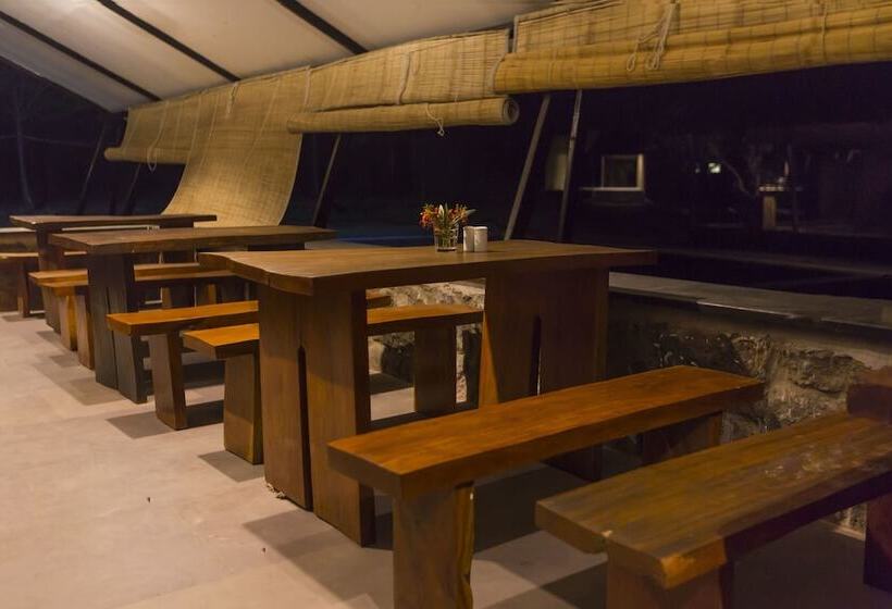 酒店 Maati Jungle Lodge