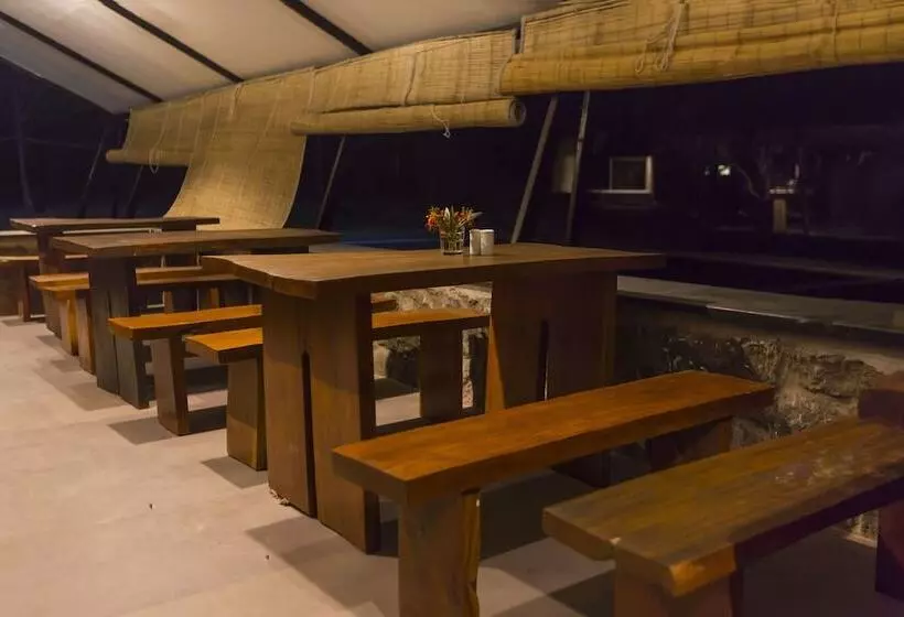 ホテル Maati Jungle Lodge