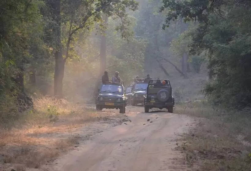 ホテル Maati Jungle Lodge