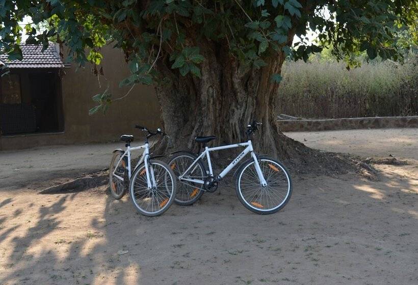 בית מלון כפרי Maati Jungle Lodge